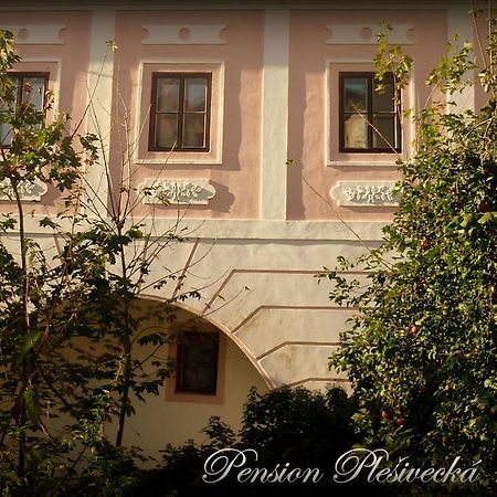 Pension Plešivecká 119 Český Krumlov Exterior foto