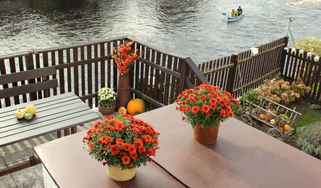 Pension Plešivecká 119 Český Krumlov Exterior foto
