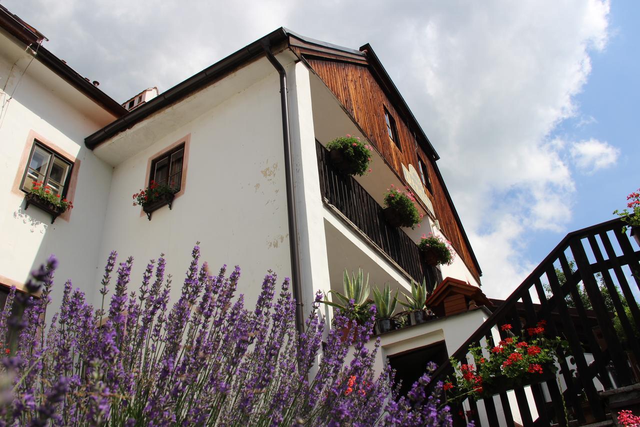 Pension Plešivecká 119 Český Krumlov Exterior foto